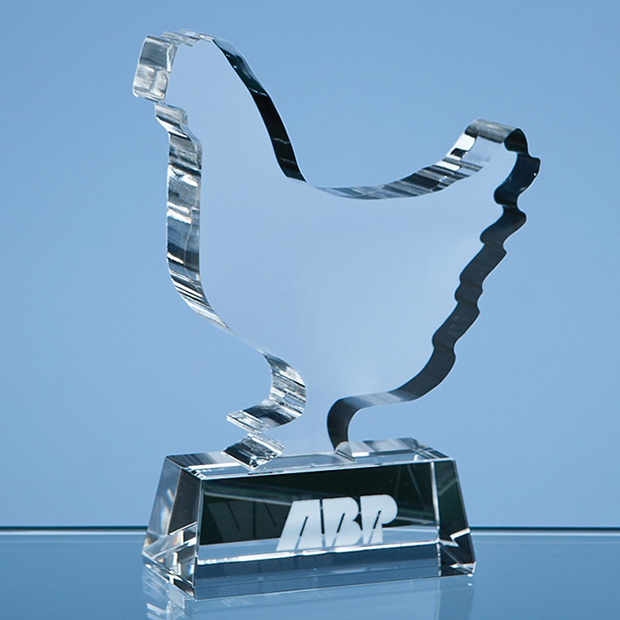 Bespoke Crystal Award