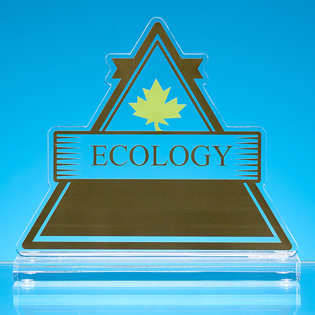 100% Recycled Acrylic Bespoke Award